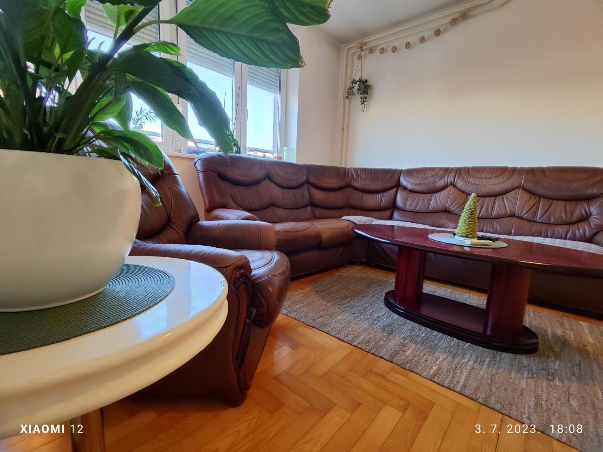 Srecko No3 Apartment เบลเกรด ภายนอก รูปภาพ